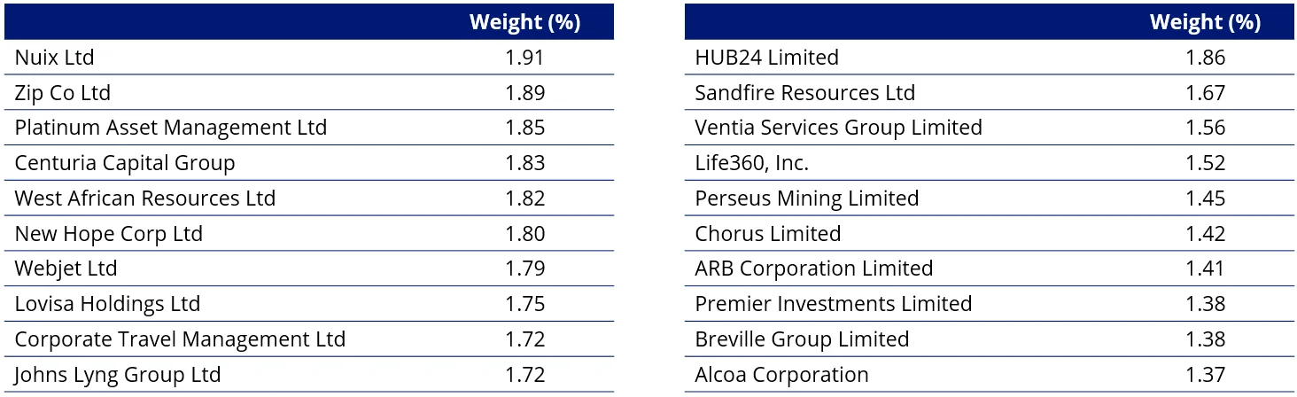 Table 2: Top 10 Holdings MVS, S&P/ASX Small Ordinaries Index