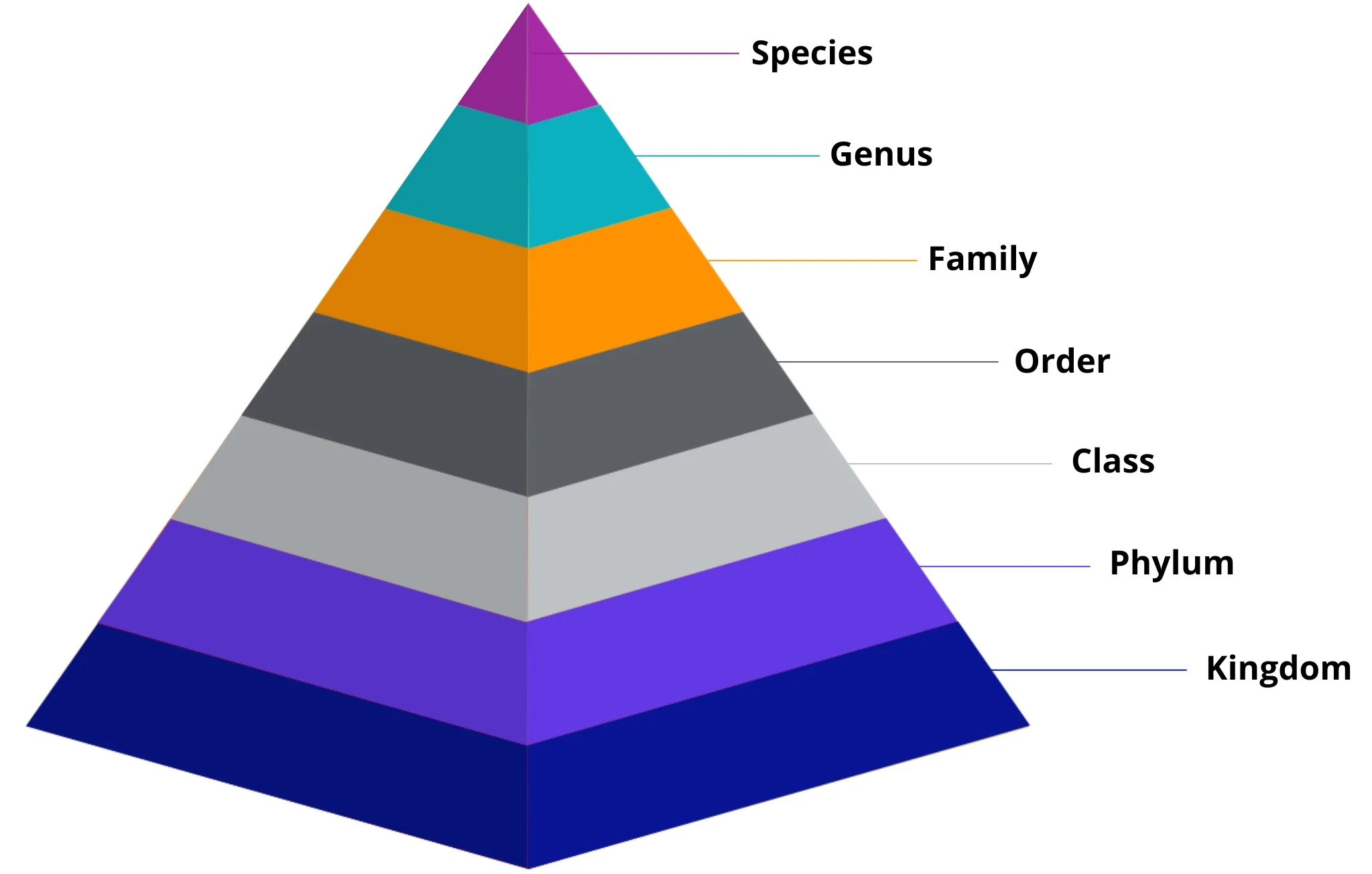 Biological classification