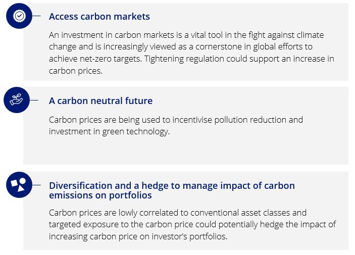 carbon markets.jpg